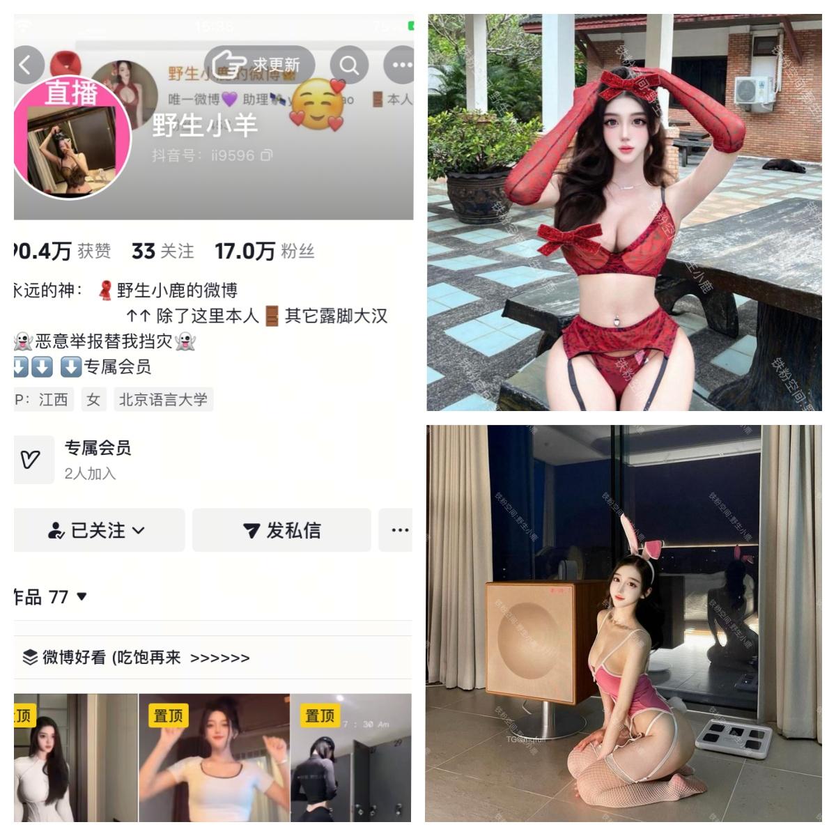 野生小羊 秘语空间/幻宇星球合集